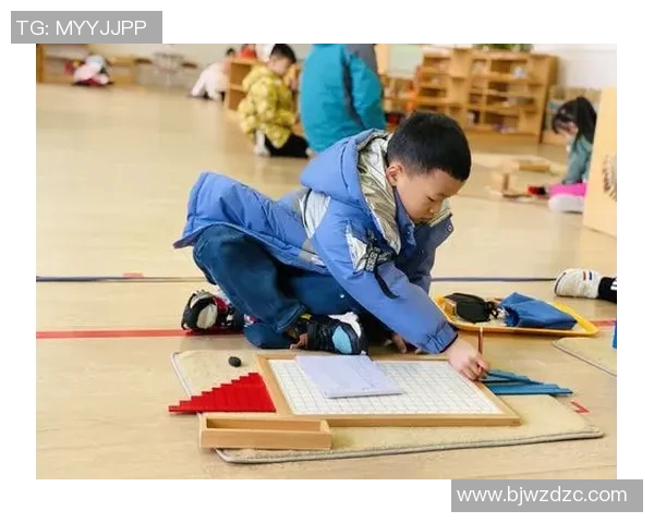 深度对话：探索陈芳在网球世界中的奋斗与成长之路